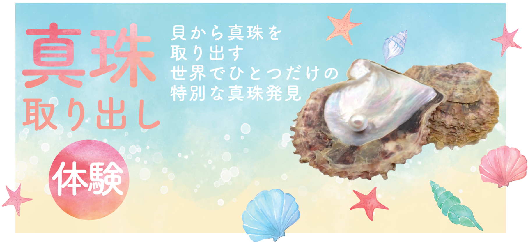 真珠取り出し体験
